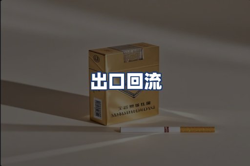 出口回流
